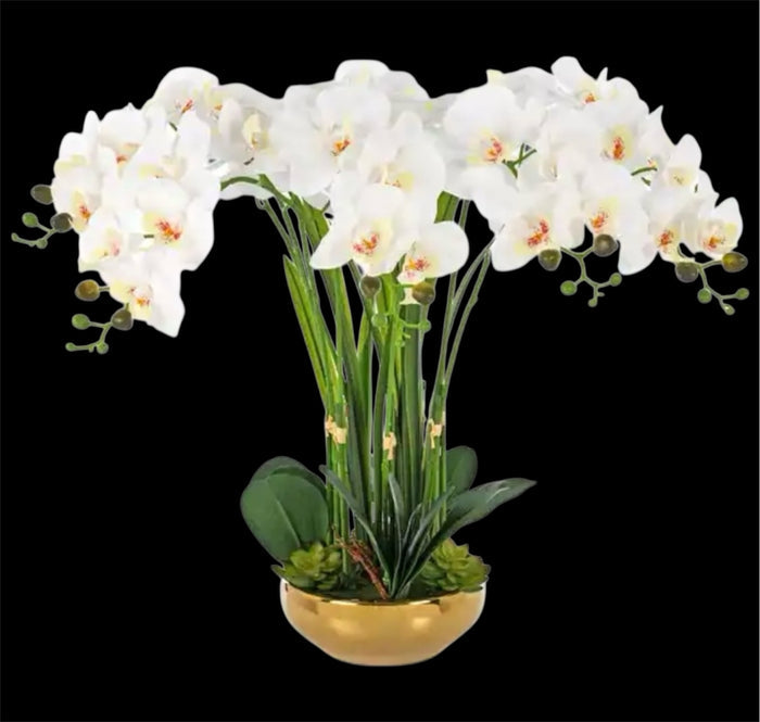 14" Phalaenopsis Orchid Leaf Spray ( JYL915-GR )
