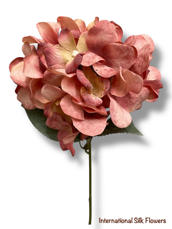 17.5' Hydrangea Bush ( TY3795-Rose )