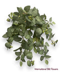 20'' Fittonia Bush ( INT905 )