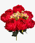 20'' Peony Bush. ( WHB25302-#6 Red )