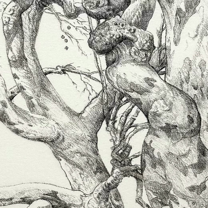 22.Sycamores