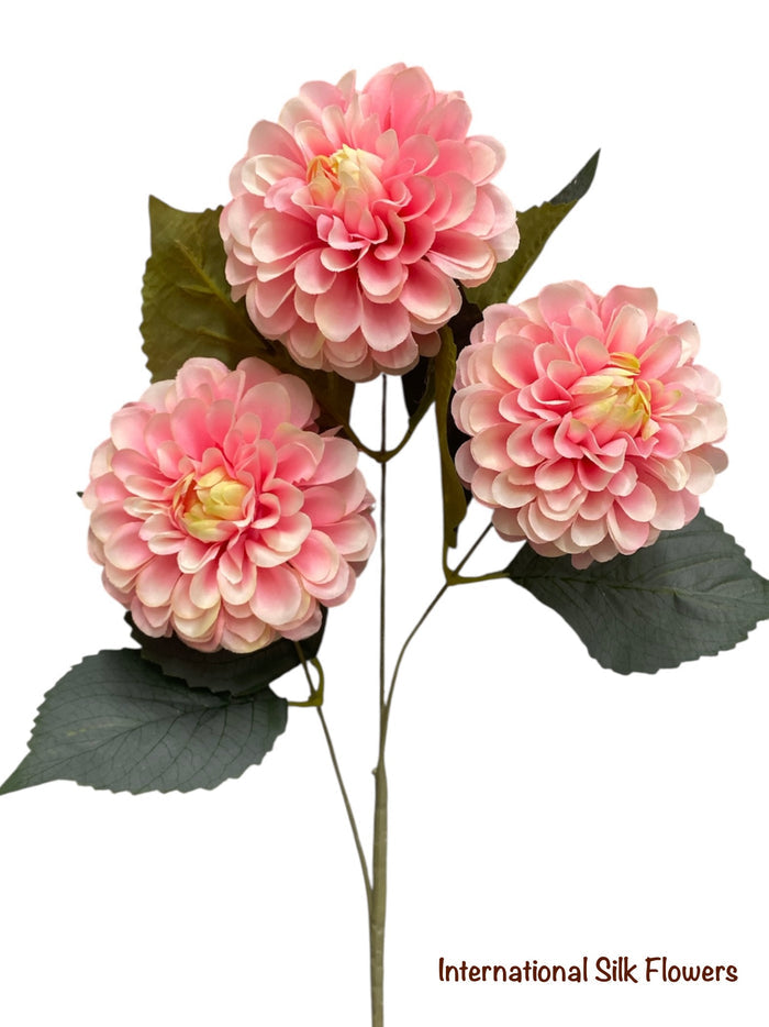 23'' Dahlia Bush ( INT010-#5 Cream Beauty )
