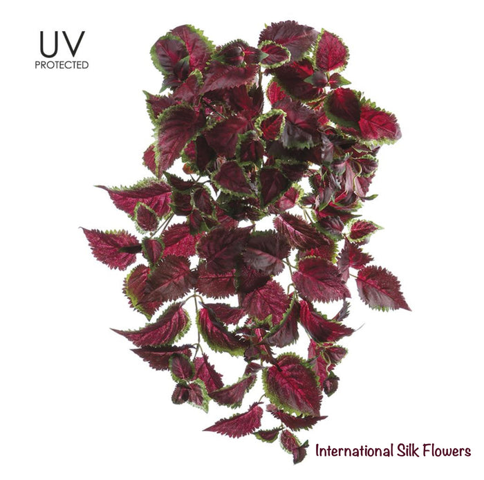 25" UV Protected Coleus Hanging Bush ( PBC533-BU/GR )