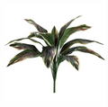 26'' Cordyline Bush ( PBC128-GR/PK )