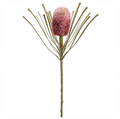28" Banksia Spray ( FSB413-PK/MV )