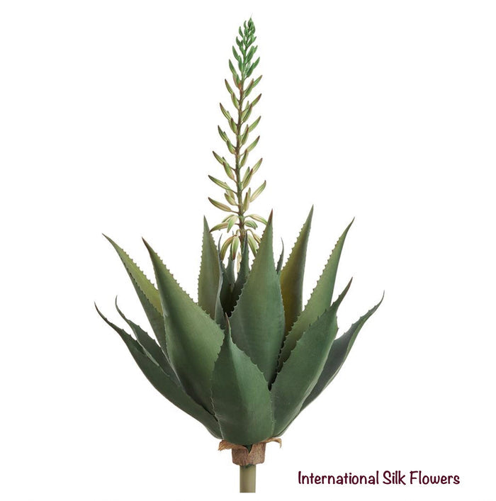 29" Blooming Agave Plant ( CP3023-WH/GR )