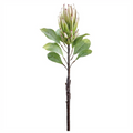 29" Protea Spray ( FSP436-CR/GR )