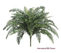 29" River Fern Bush ( PBF190 )