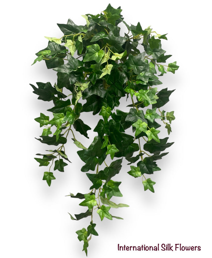 31'' English Hanging Bush ( INT8423 )