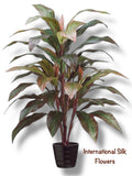 3.33' Cordyline Plant ( LPC840-RE/GR )
