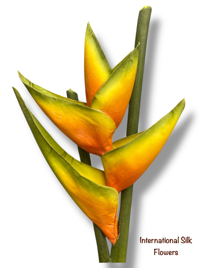 34" Hawaiian Heliconia Spray ( JYH754-Orange )