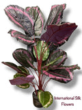 3.6'  Artificial Real Touch Calathea Plant ( PC1135-PUGP )
