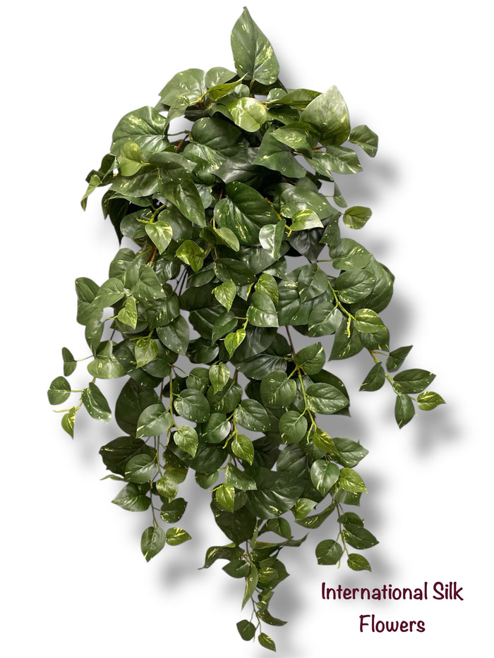 36'' Pothos Hanging Bush ( BHF626-GR )