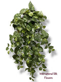 36'' Pothos Hanging Bush ( BHF626-GR )