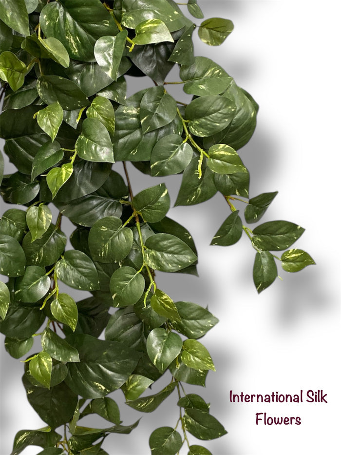 36'' Pothos Hanging Bush ( BHF626-GR )