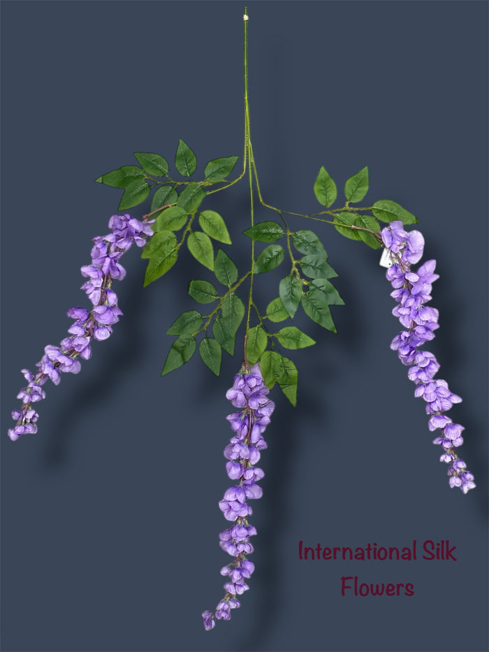 37'' Cassia Fistula ( H3001-#1 LV )