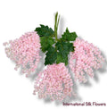 37'' Cassia Fistula ( H3001-#4 BB Pink )