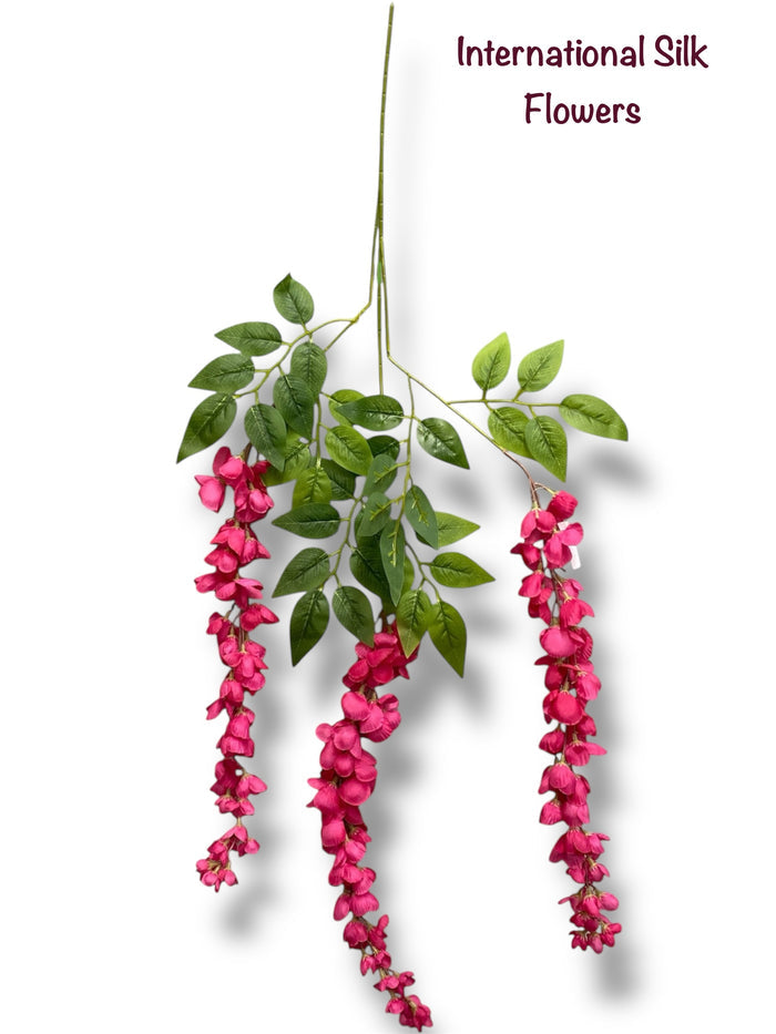 37'' Cassia Fistula ( H3001-#5 BT  )