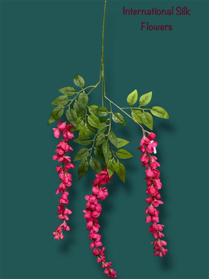 37'' Cassia Fistula ( H3001-#5 BT  )