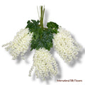 37'' Cassia Fistula ( H3001-#5 CR )