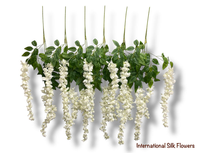 37'' Cassia Fistula ( H3001-#5 CR )