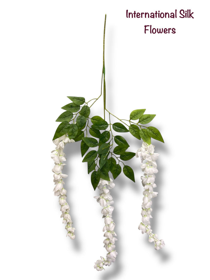 37'' Cassia Fistula ( H3001-#6 WH )