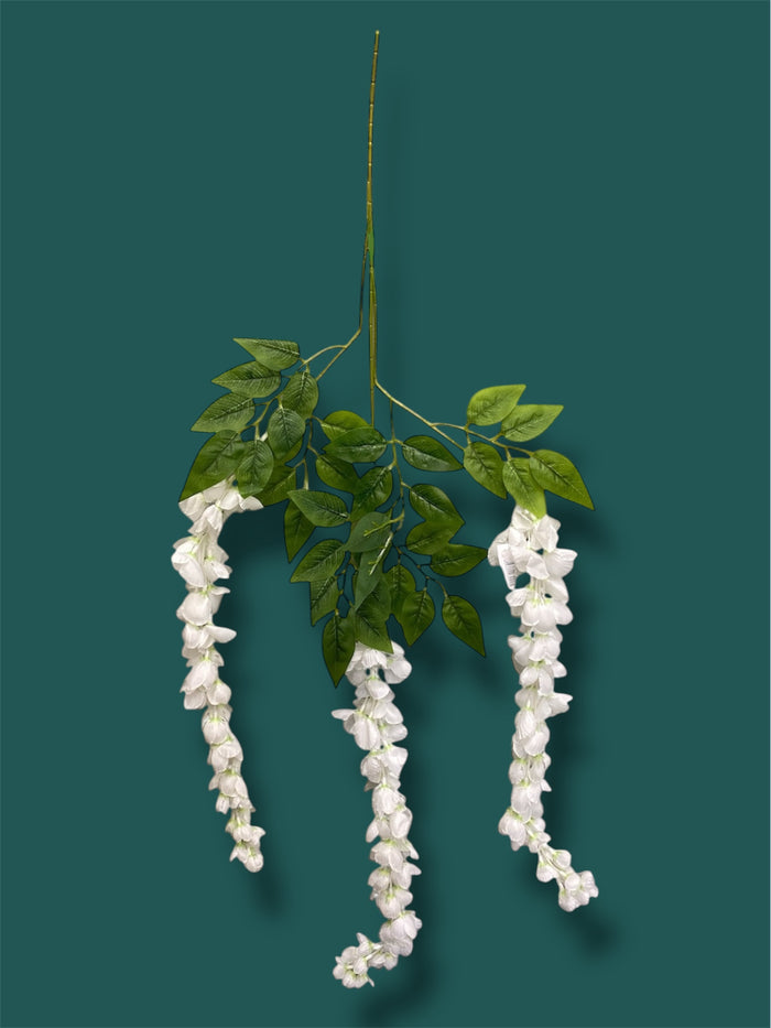 37'' Cassia Fistula ( H3001-#6 WH )