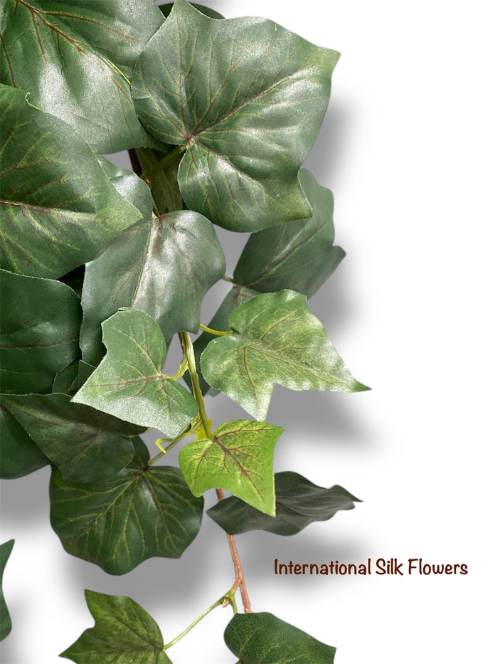 40'' Algerian IVY Hanging Bush ( BHF623 )
