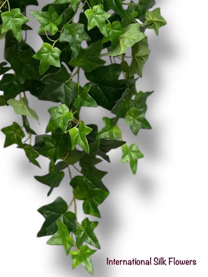 40'' English IVY Hanging Bush ( ( INT8408 )