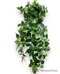 40'' Philo Hanging Bush ( INT8407 )