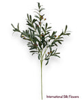 42" Olive Spray ( VSO576-GR )