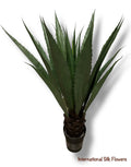 4.25' Mexican Agave ( 8105 Green )