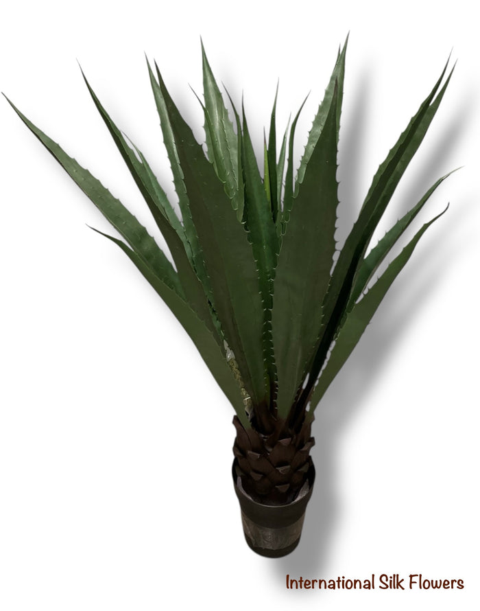 4.25' Mexican Agave ( 8105 Green )