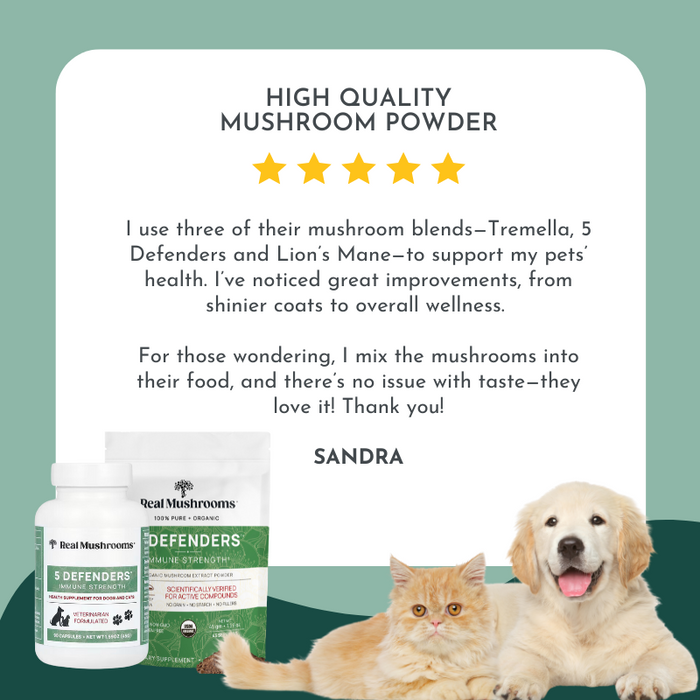 5 Defenders Mushroom Blend Powder - Immune Support