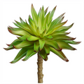 6" Real Touch Aeonium Pick ( CKA256-GR/BU )