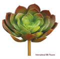 6" Real Touch Echeveria Pick ( CE5010-GR/BU )