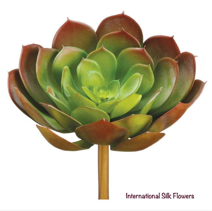 6" Real Touch Echeveria Pick ( CE5010-GR/BU )