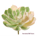 6'' Soft Touch Echeveria Pick ( CE4199-Green/Blush )