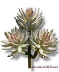 7'' Succulent ( 199122-GR/PK )