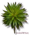 7'' Succulent ( CH0430-GR )