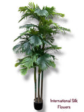 9.17' Areca Palm  Tree ( INT836 )