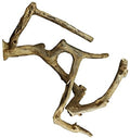 A&E AE6002M-MB Medium Java Wood Multi Branch Perch