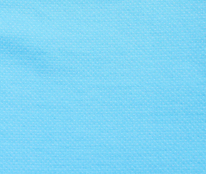 Aqua with Navy Collar