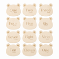Baby Milestone Cards – Teddy Bear Design