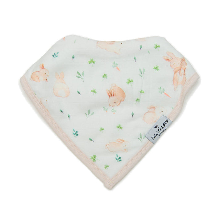 Bandana-Bib-Set-2-Pack-Bunny-Meadow-3