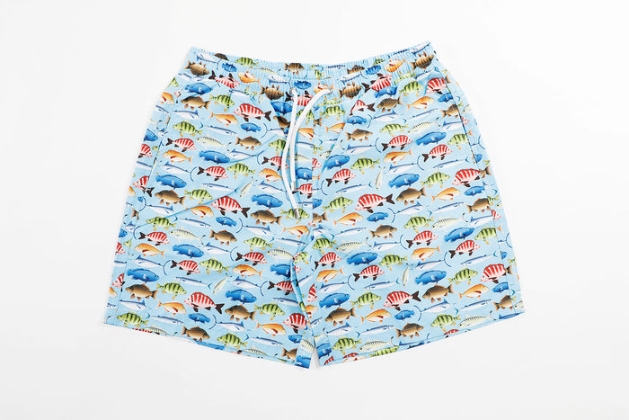 Blue with Multicolor Fish