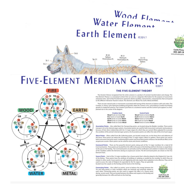 Canine 5 Element Meridian Charts