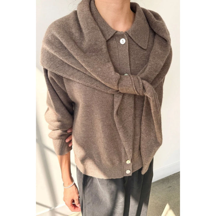 Cashmere Shawl