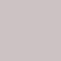 Ceiling Paint - Past Time