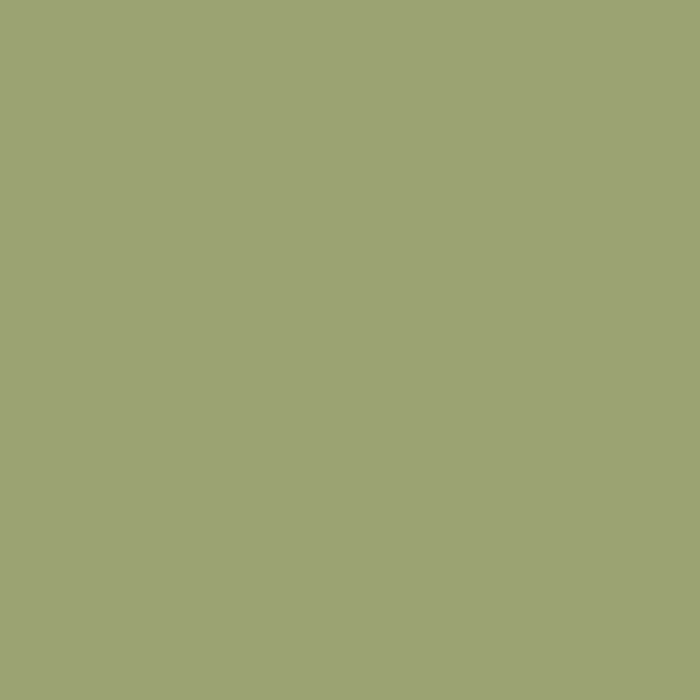 Ceiling Paint - Smashed Avo